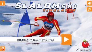 Slalom Ski Simulator - Screenshot 1