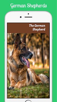 German Shepherds - Screenshot 3