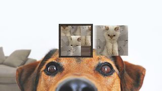 Famous Sliding Puzzle: Pets - Screenshot 1