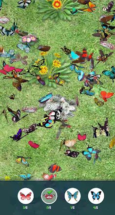 Butterfly Hunt - Screenshot 2