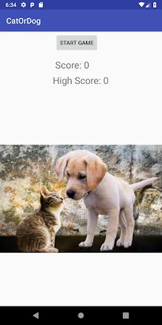 Cat or Dog Game - Screenshot 1