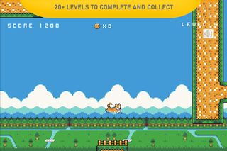 Shiba Inu Adventure Time - Screenshot 1