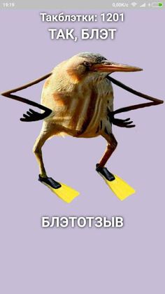 Так Блэт - Screenshot 1