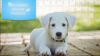 Dog Games Jigsaw Puzzles - Screenshot 1