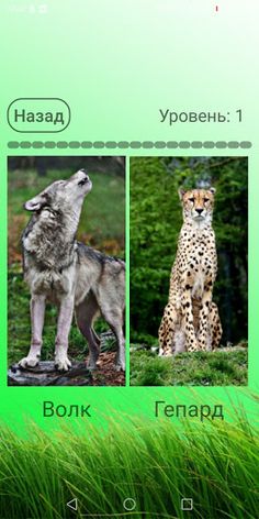 Викторина: Научное наследие - Screenshot 1