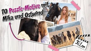 Ostwind - Screenshot 2