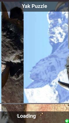 Yak Puzzle - Screenshot 2