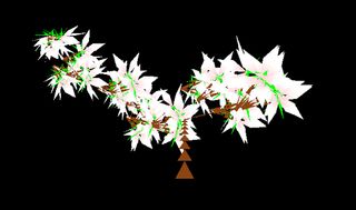 PocketBonsai - Screenshot 1