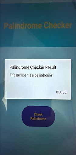 Win Palindrome Checker - Screenshot 3