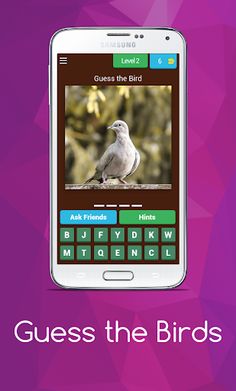 Birds guess - Screenshot 3