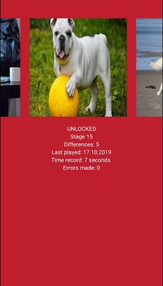 Find Differences - Cats and Do - Screenshot 3