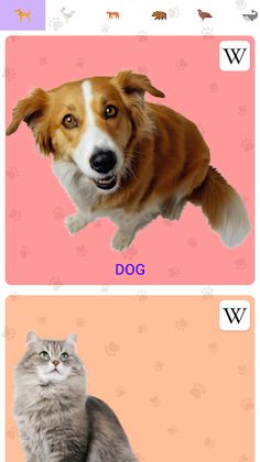 Animal Sounds - Screenshot 1