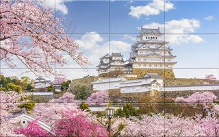 Asia Puzzle - Screenshot 3