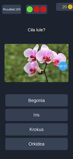 Kuiz Shqip - Screenshot 4