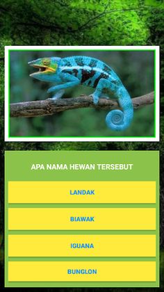 Kuis Tebak Nama Hewan. - Screenshot 2