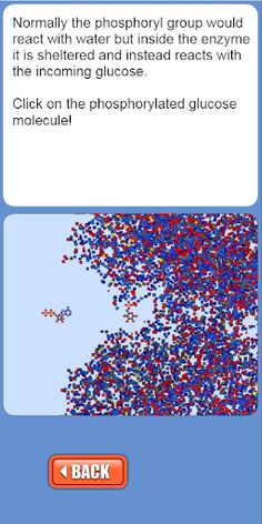 Glycolysis Match Game - Screenshot 1
