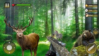 Wild Animal Hunting Games - Screenshot 1