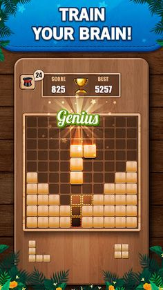 Wooden 100 Block Puzzle Game - Screenshot 1