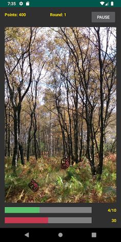 Catch the Fossa - Screenshot 1