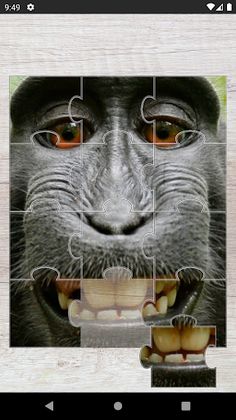 Quebra-Cabeças Macacos Puzzles - Screenshot 1