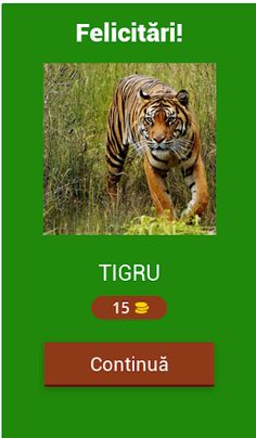 LumeaAnimalelor - Screenshot 2