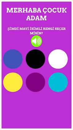 RenkBulma - Screenshot 1