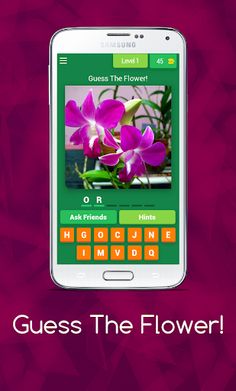 Guess The Flower! - Screenshot 2