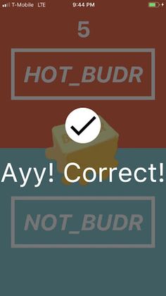 hot_budr - Screenshot 3