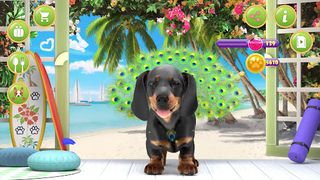 Puppy Tony: peacock floof lol - Screenshot 2