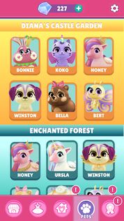 Love Diana Pet Dash - Screenshot 5