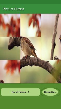 Picture Puzzle - Screenshot 3