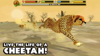 Cheetah Simulator - Screenshot 1