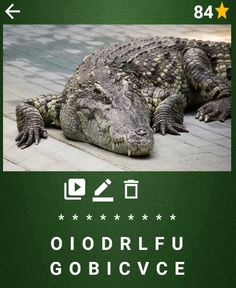 Adivina el Animal - Screenshot 3