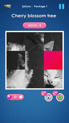 Cat slide puzzle: piece match - Screenshot 2