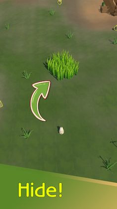 Kurka, run! - Screenshot 3