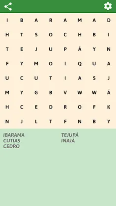 Brazilian cities Word Search - Screenshot 1
