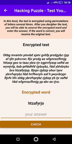 Hacking Puzzle - Screenshot 4