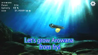 Arowana raising from fry - Screenshot 1