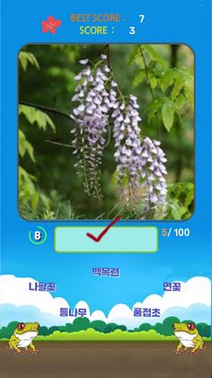 Korean Flower Name Game - Screenshot 4