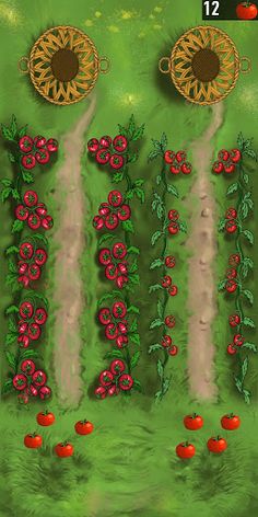 Rijk Zwaan: Tomato Quiz - Screenshot 3