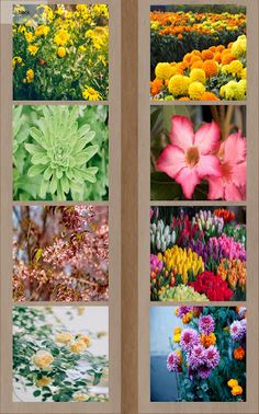 Slide puzzel game - Screenshot 4