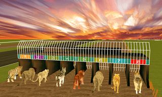 Wild lion, dog, Tiger animal r - Screenshot 3