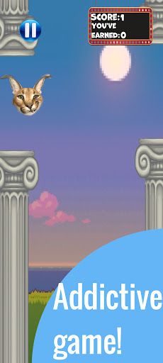Flappy Floppa - Screenshot 1