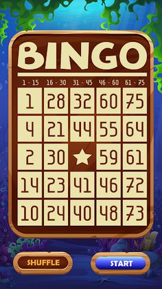 Bingo - Numeric Board Game - Screenshot 3