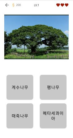 나무 퀴즈 - Screenshot 2