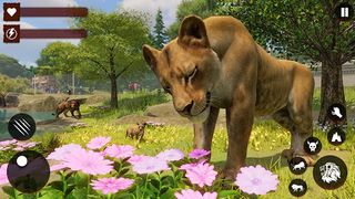 Wild Lion family simulator - Screenshot 2