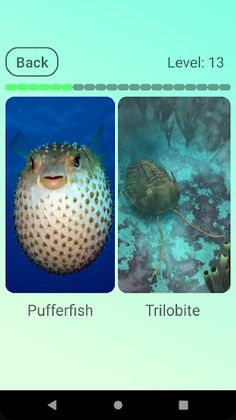 One out of two - Screenshot 2