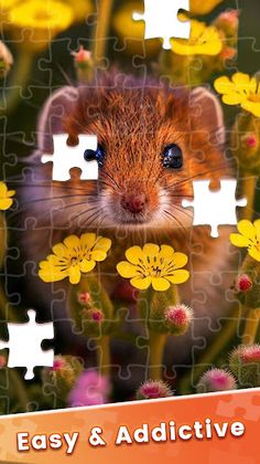 HD Jigsaw Puzzles Sorting Game - Screenshot 4