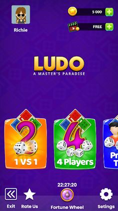 Ludo- A Master's Paradise - Screenshot 1