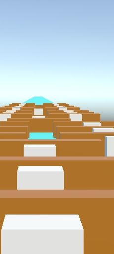 RakeshBigestGame3D - Screenshot 1